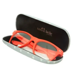 Barney The Dog Glasses Case