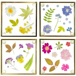 Flower Print Glass Coasters