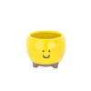 Happy Planter
