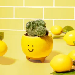 Happy Planter