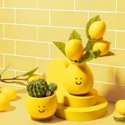 Happy Vase