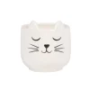 Mini Cat's Whiskers White Planter