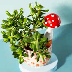 Mushroom Shaped Watering Spike Red