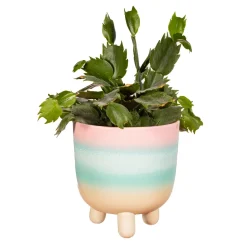 Pastel Ombre Leggy Planter Large