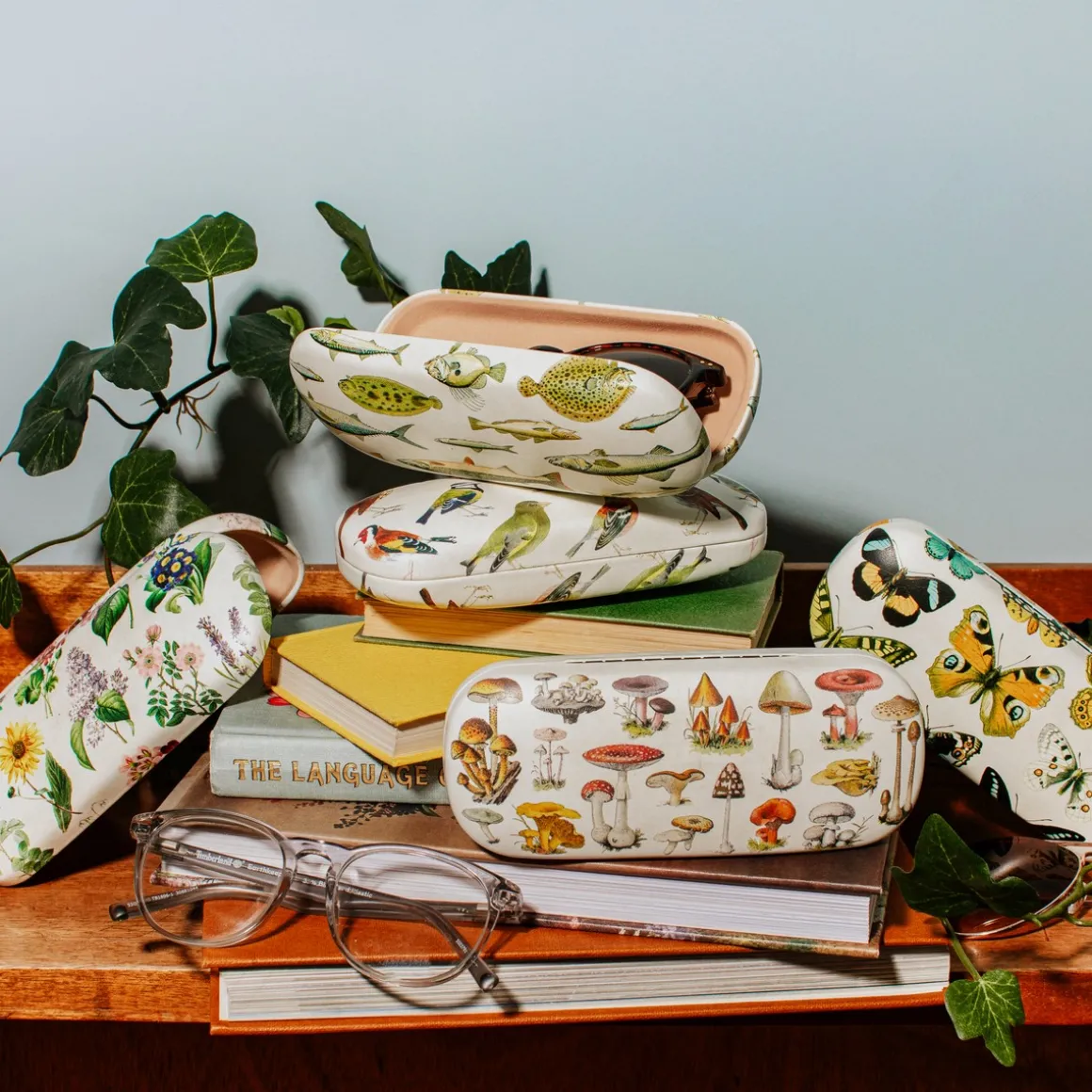 Vintage Fish Glasses Case