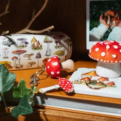 Vintage Mushroom Glasses Case