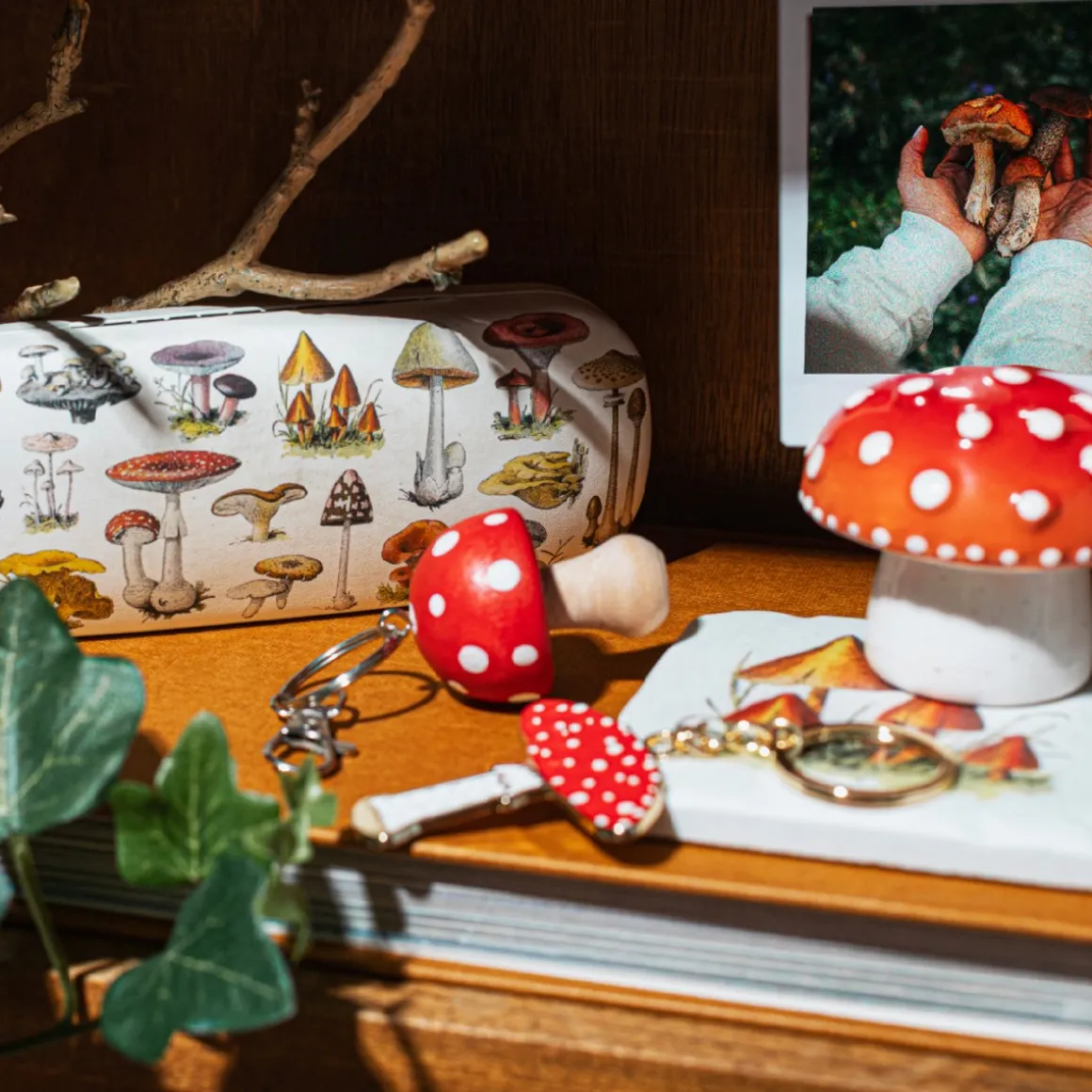Vintage Mushroom Glasses Case