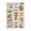 Vintage Mushrooms A5 Notebook